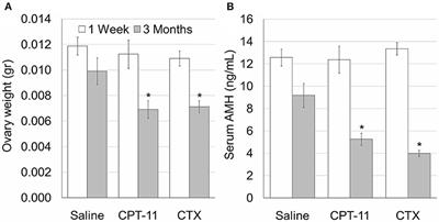 Irinotecan (CPT-11) Treatment Induces Mild Gonadotoxicity